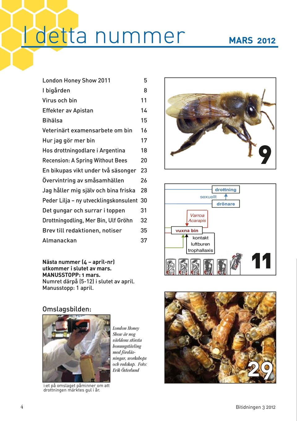 utvecklingskonsulent sperma 30 Det gungar och surrar i toppen 31 Drottningodling, Mer Bin, Ulf Gröhn 32 Varroa Tropilaelaps utfodring Brev till redaktionen, notiser 35 kannibalism städning Almanackan