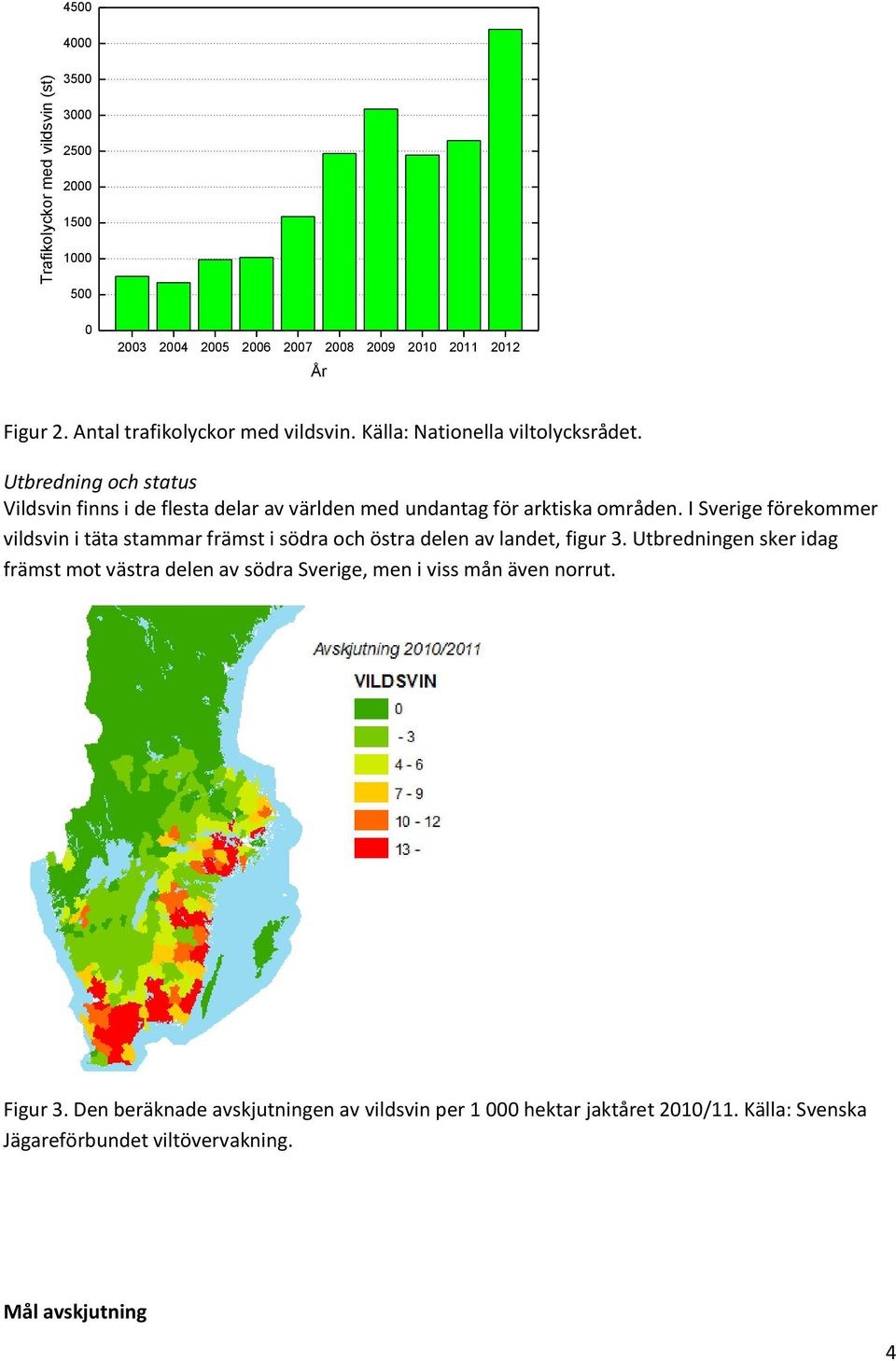 Utbredning och status Vildsvin finns i de flesta delar av världen med undantag för arktiska områden.