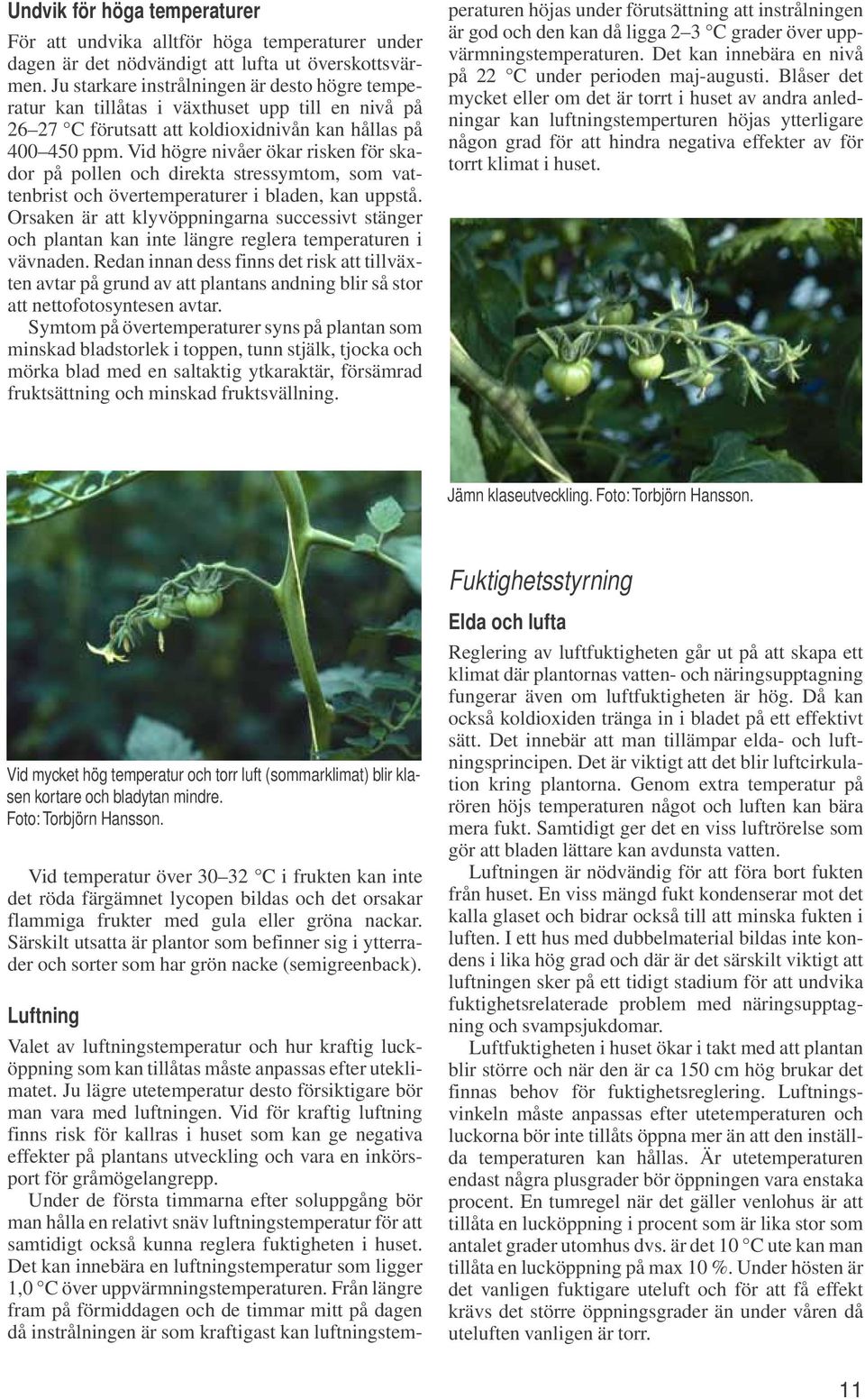 Vid högre nivåer ökar risken för skador på pollen och direkta stressymtom, som vattenbrist och övertemperaturer i bladen, kan uppstå.