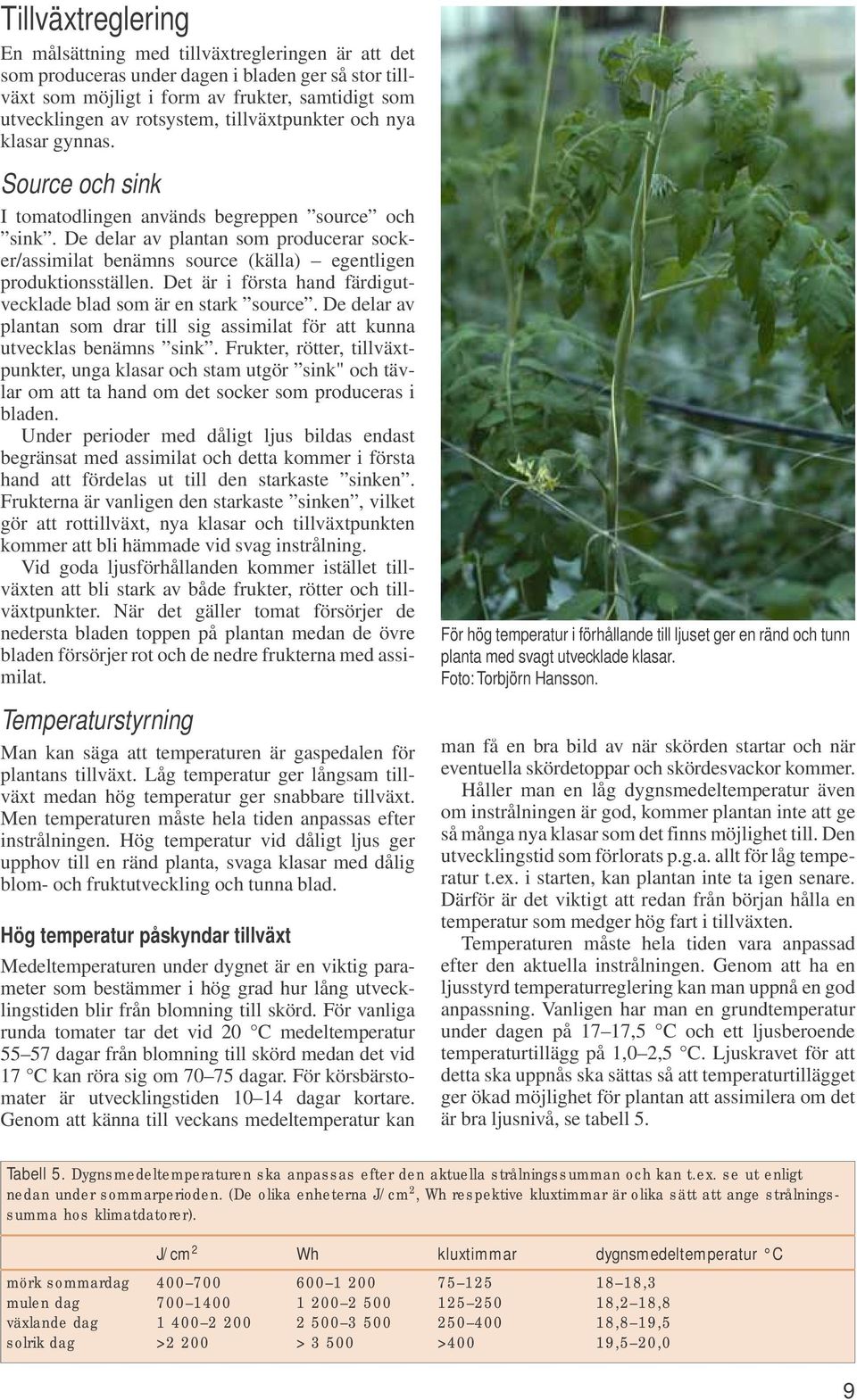 De delar av plantan som producerar socker/assimilat benämns source (källa) egentligen produktionsställen. Det är i första hand färdigutvecklade blad som är en stark source.