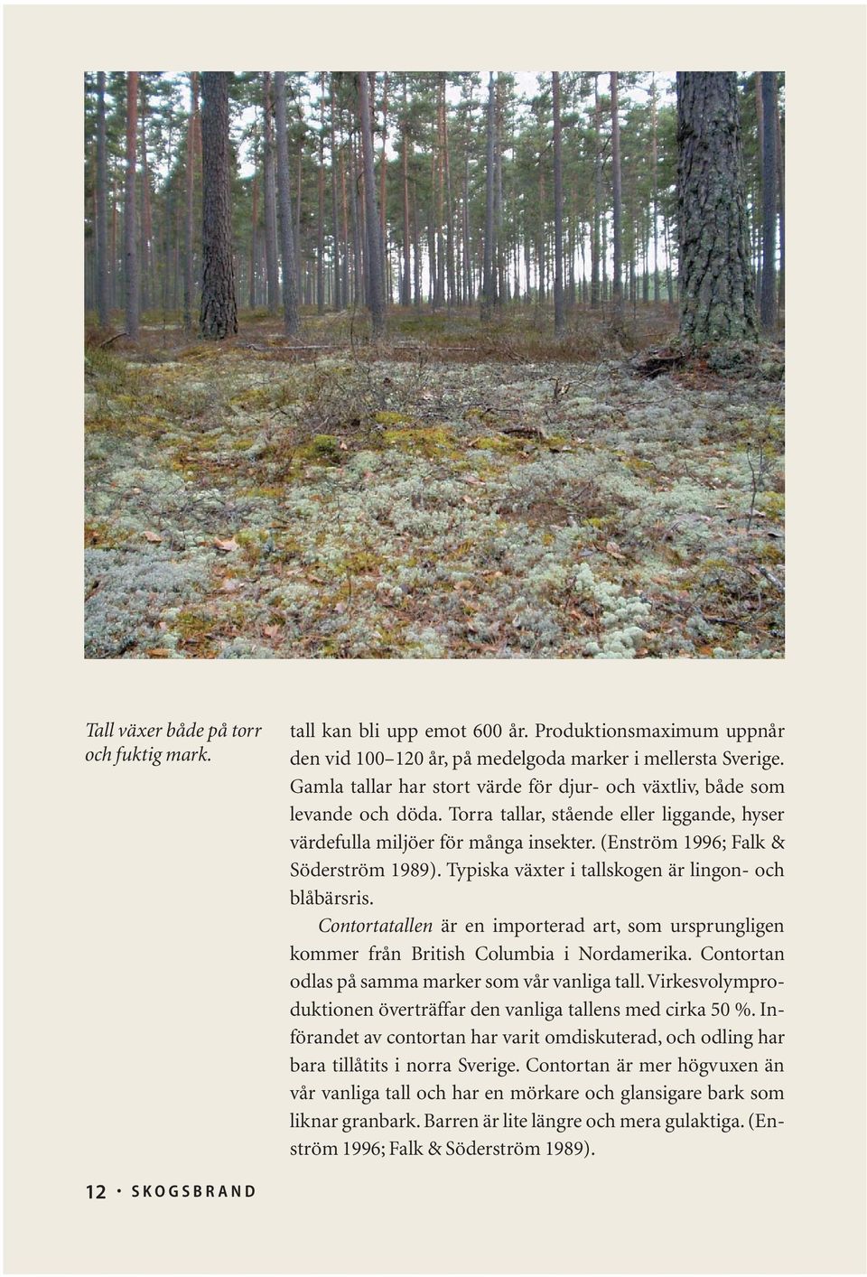 (Enström 1996; Falk & Söderström 1989). Typiska växter i tallskogen är lingon- och blåbärsris. Contortatallen är en importerad art, som ursprungligen kommer från British Columbia i Nordamerika.