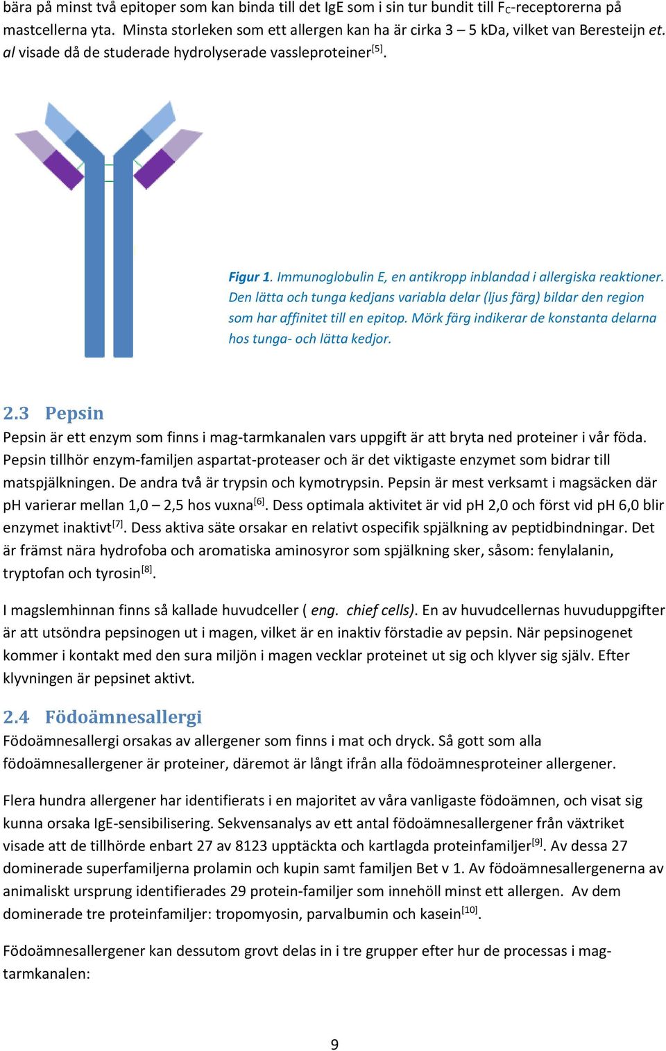 Immunoglobulin E, en antikropp inblandad i allergiska reaktioner. Den lätta och tunga kedjans variabla delar (ljus färg) bildar den region som har affinitet till en epitop.