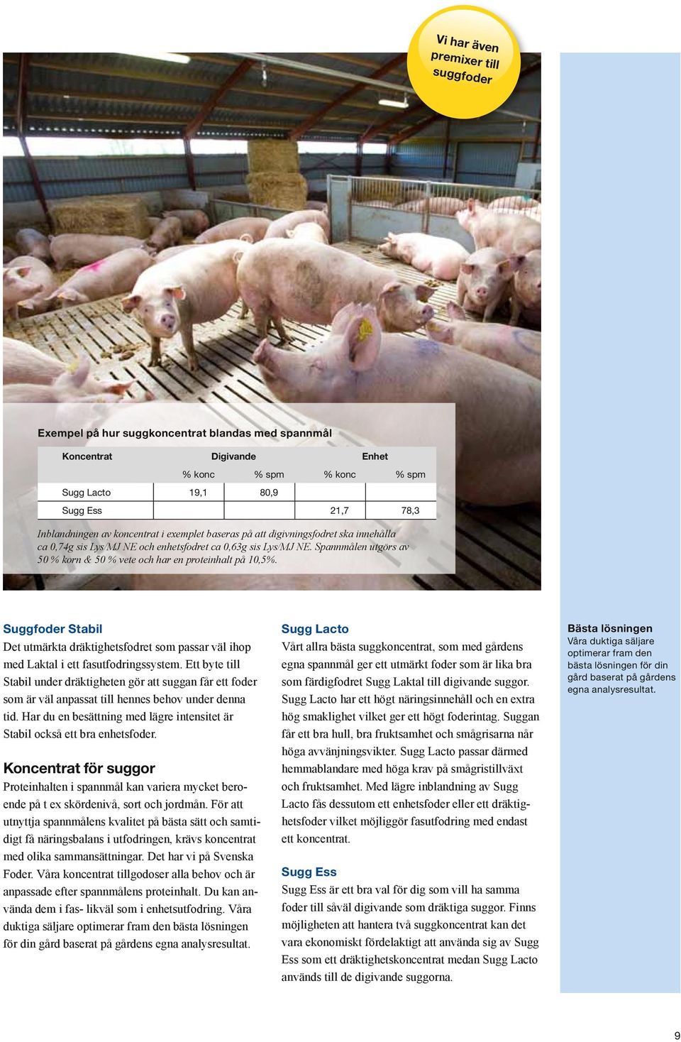 Spannmålen utgörs av 50 % korn & 50 % vete och har en proteinhalt på 10,5%. Suggfoder Stabil Det utmärkta dräktighetsfodret som passar väl ihop med Laktal i ett fasutfodringssystem.