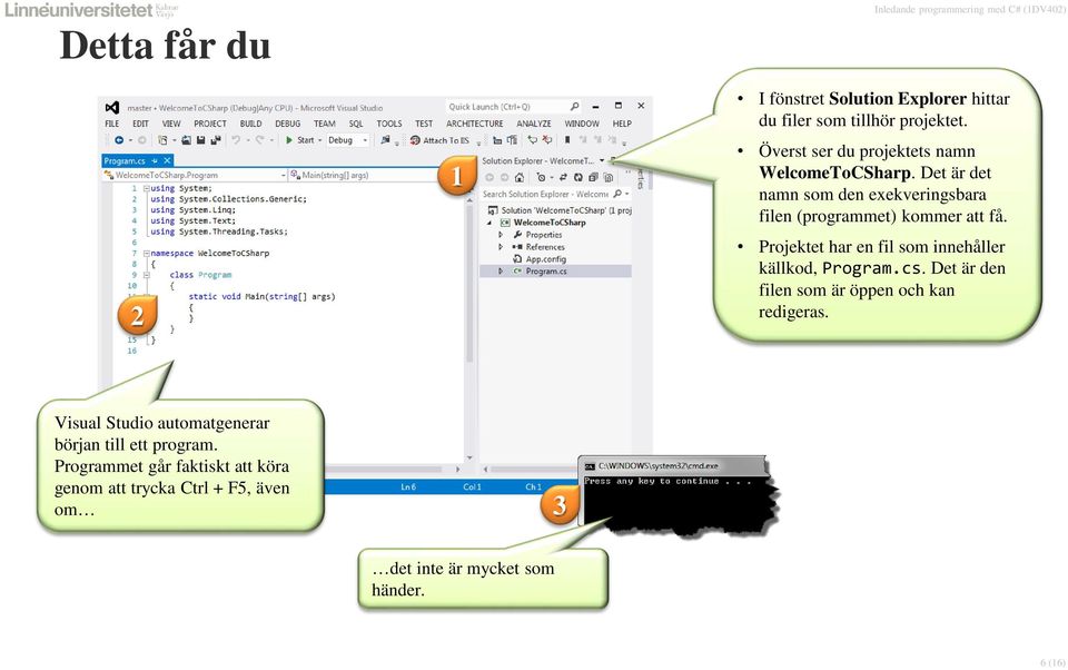 Det är det namn som den exekveringsbara filen (programmet) kommer att få.