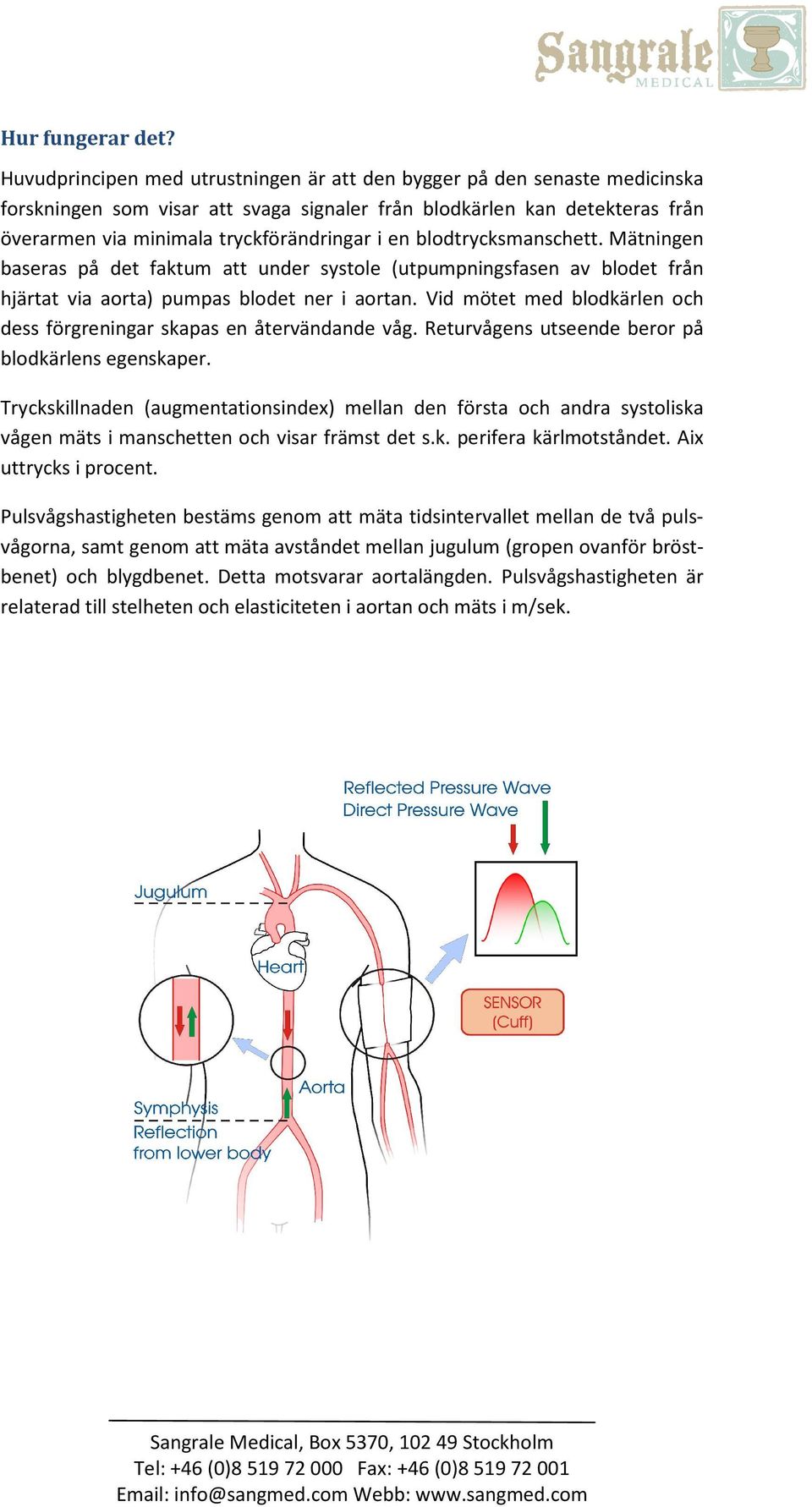 blodtrycksmanschett. Mätningen baseras på det faktum att under systole (utpumpningsfasen av blodet från hjärtat via aorta) pumpas blodet ner i aortan.