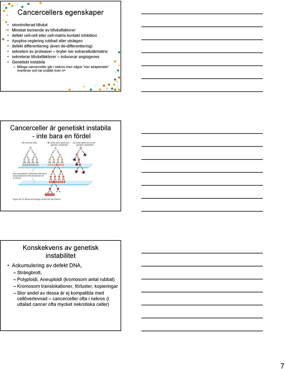men några mer adapterade överlever och tar snabbt över n= Cancerceller är genetiskt instabila - inte bara en fördel Konskekvens av genetisk instabilitet Ackumulering av defekt DNA, Strängbrott,