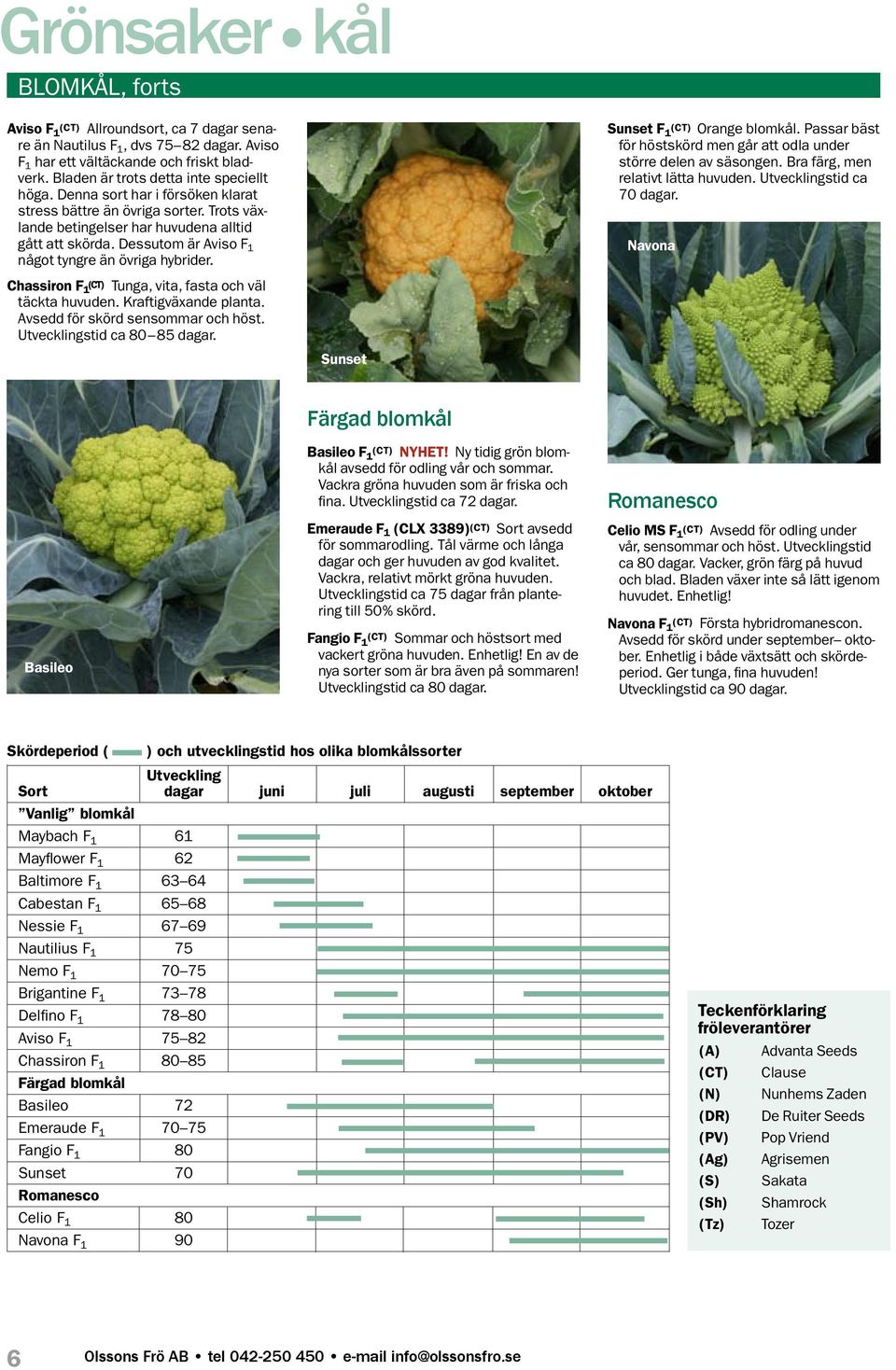 Dessutom är Aviso F 1 något tyngre än övriga hybrider. Sunset F 1 (CT) Orange blomkål. Passar bäst för höstskörd men går att odla under större delen av säsongen. Bra färg, men relativt lätta huvuden.