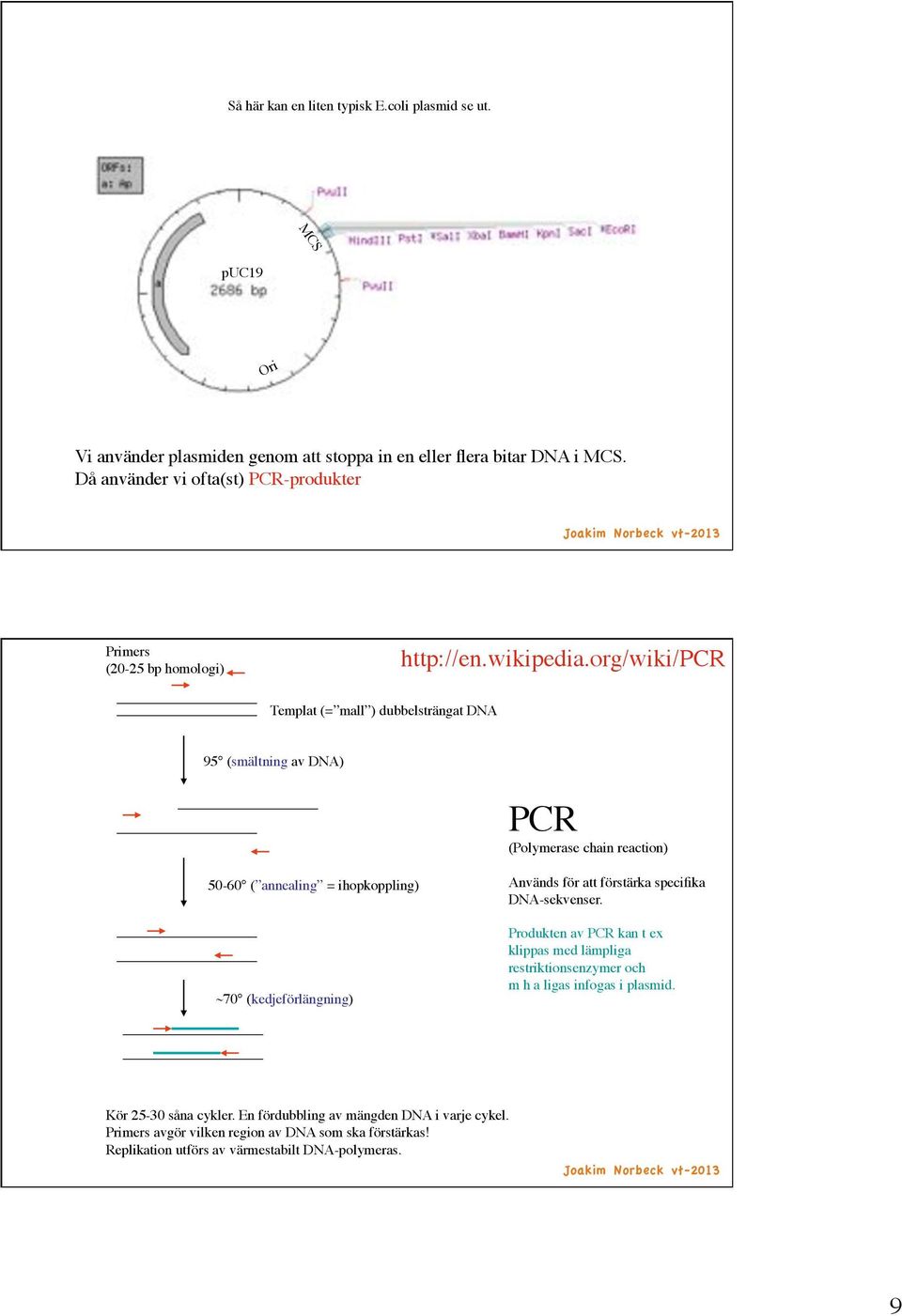 50-60 ( annealing = ihopkoppling)! ~70 (kedjeförlängning)! Används för att förstärka specifika! DNA-sekvenser.! Produkten av PCR kan t ex! klippas med lämpliga!