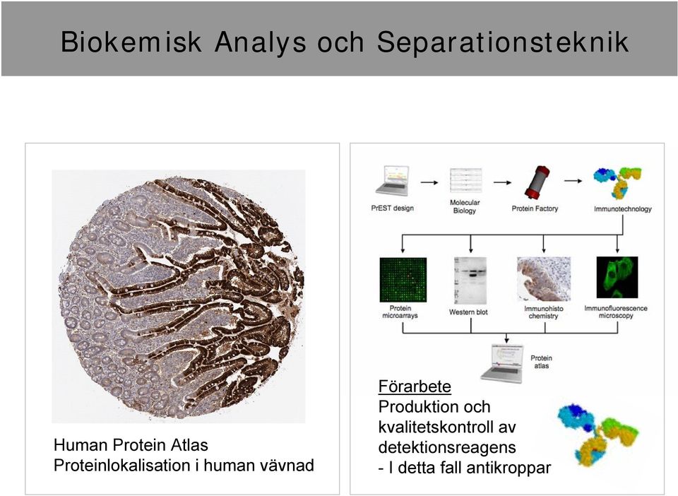 vävnad Förarbete Produktion och