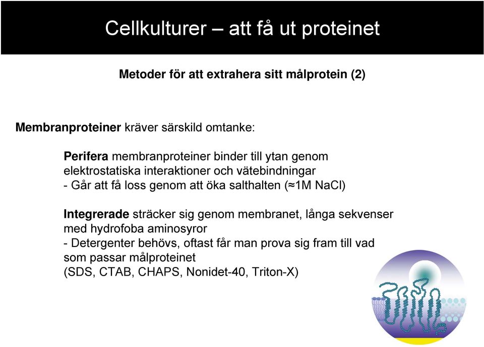 genom att öka salthalten ( 1M NaCl) Integrerade sträcker sig genom membranet, långa sekvenser med hydrofoba aminosyror -