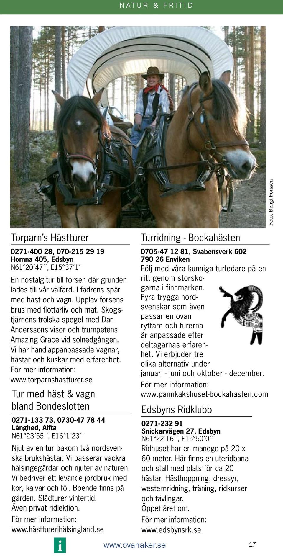 Vi har handiappanpassade vagnar, hästar och kuskar med erfarenhet. För mer information: www.torparnshastturer.