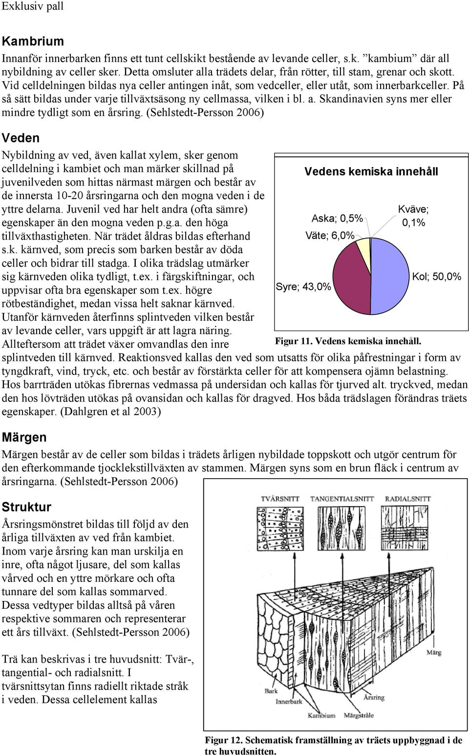 På så sätt bildas under varje tillväxtsäsong ny cellmassa, vilken i bl. a. Skandinavien syns mer eller mindre tydligt som en årsring.