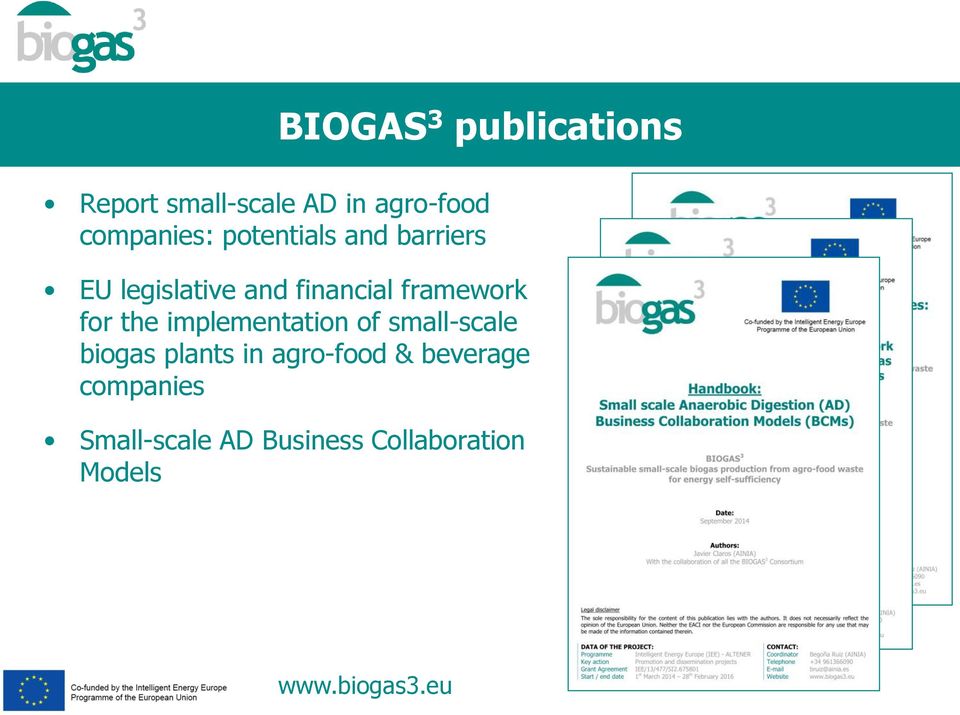 the implementation of small-scale biogas plants in agro-food &