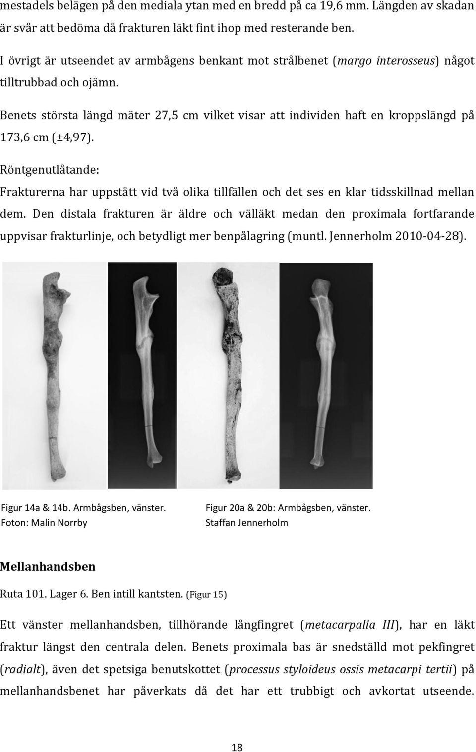 Benets största längd mäter 27,5 cm vilket visar att individen haft en kroppslängd på 173,6 cm (±4,97).