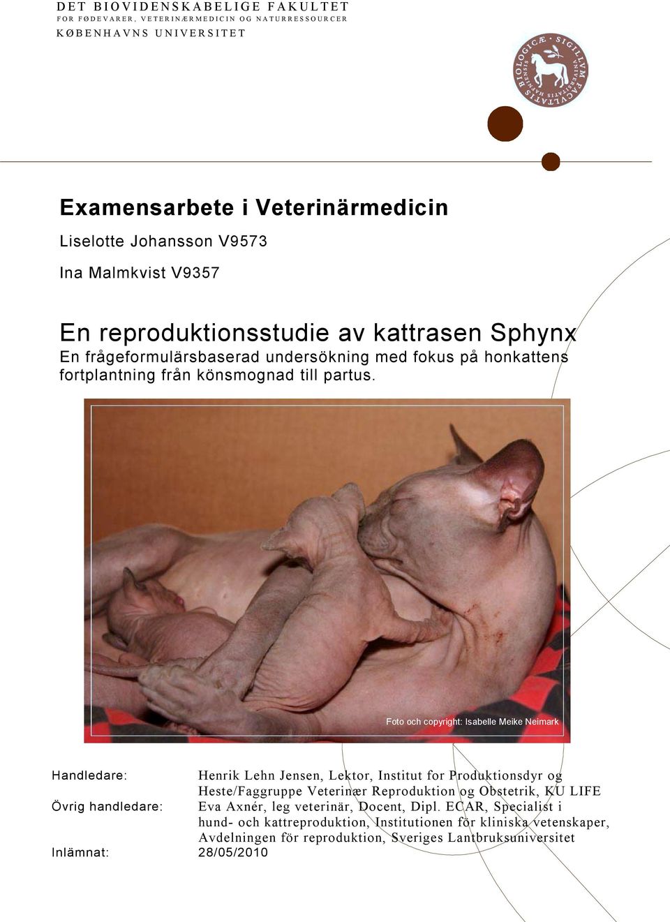 Foto och copyright: Isabelle Meike Neimark Handledare: Henrik Lehn Jensen, Lektor, Institut for Produktionsdyr og Heste/Faggruppe Veterinær Reproduktion og Obstetrik, KU LIFE Övrig