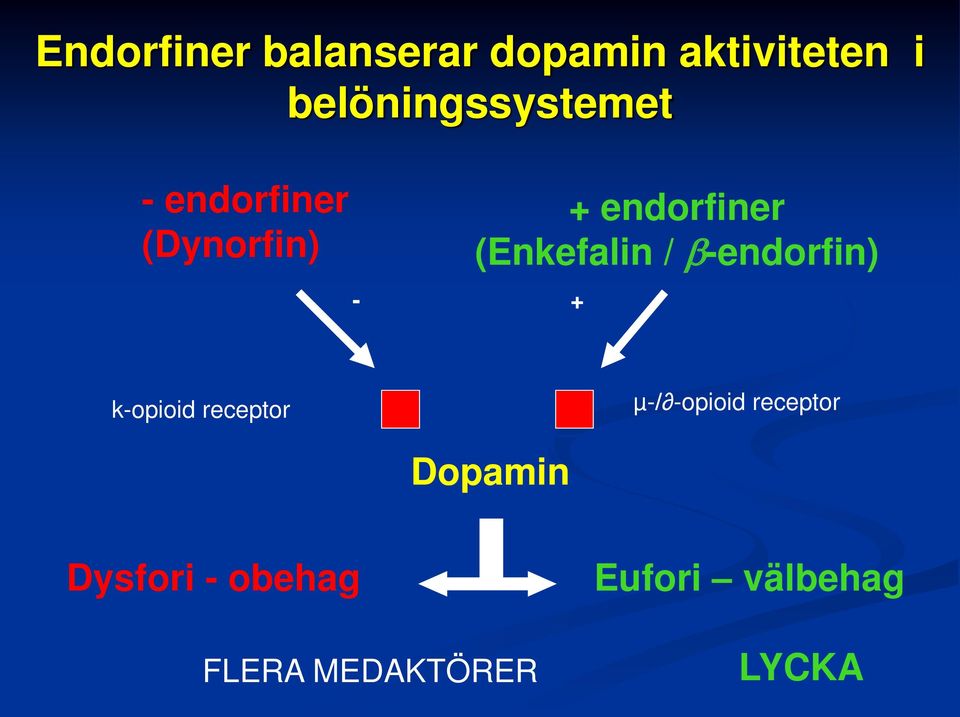 (Enkefalin / b-endorfin) + k-opioid receptor µ-/ -opioid