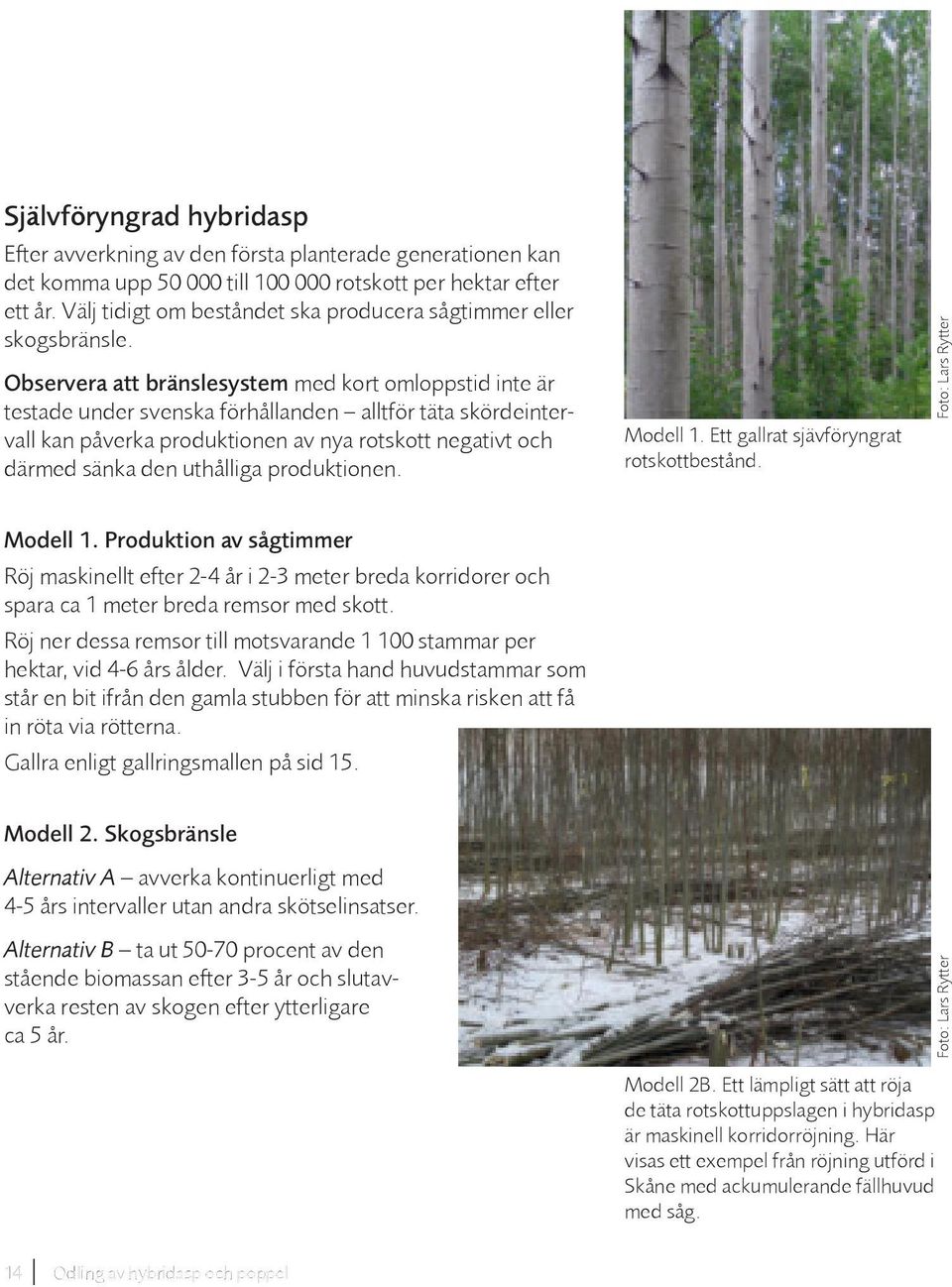 Observera att bränslesystem med kort omloppstid inte är testade under svenska förhållanden alltför täta skördeintervall kan påverka produktionen av nya rotskott negativt och därmed sänka den