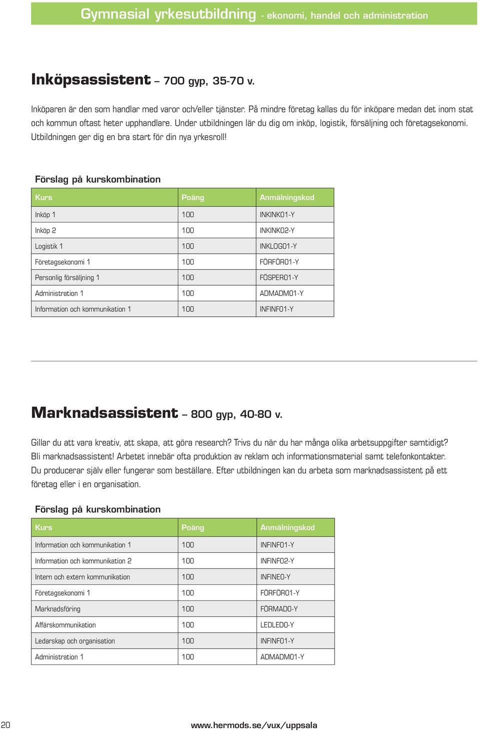 Utbildningen ger dig en bra start för din nya yrkesroll!