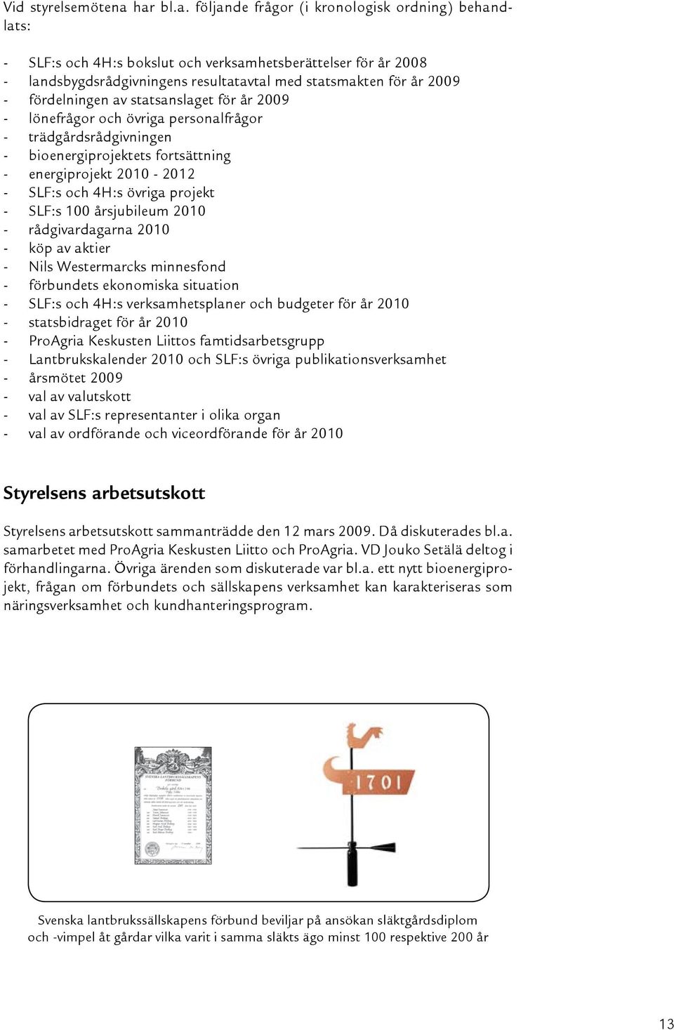 fördelningen av statsanslaget för år 2009 - lönefrågor och övriga personalfrågor - trädgårdsrådgivningen - bioenergiprojektets fortsättning - energiprojekt 2010-2012 - SLF:s och 4H:s övriga projekt -