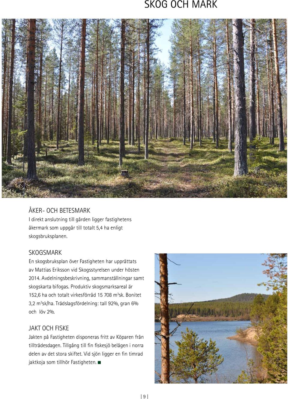 Avdelningsbeskrivning, sammanställningar samt skogskarta bifogas. Produktiv skogsmarksareal är 152,6 ha och totalt virkesförråd 15 708 m 3 sk. Bonitet 3,2 m 3 sk/ha.