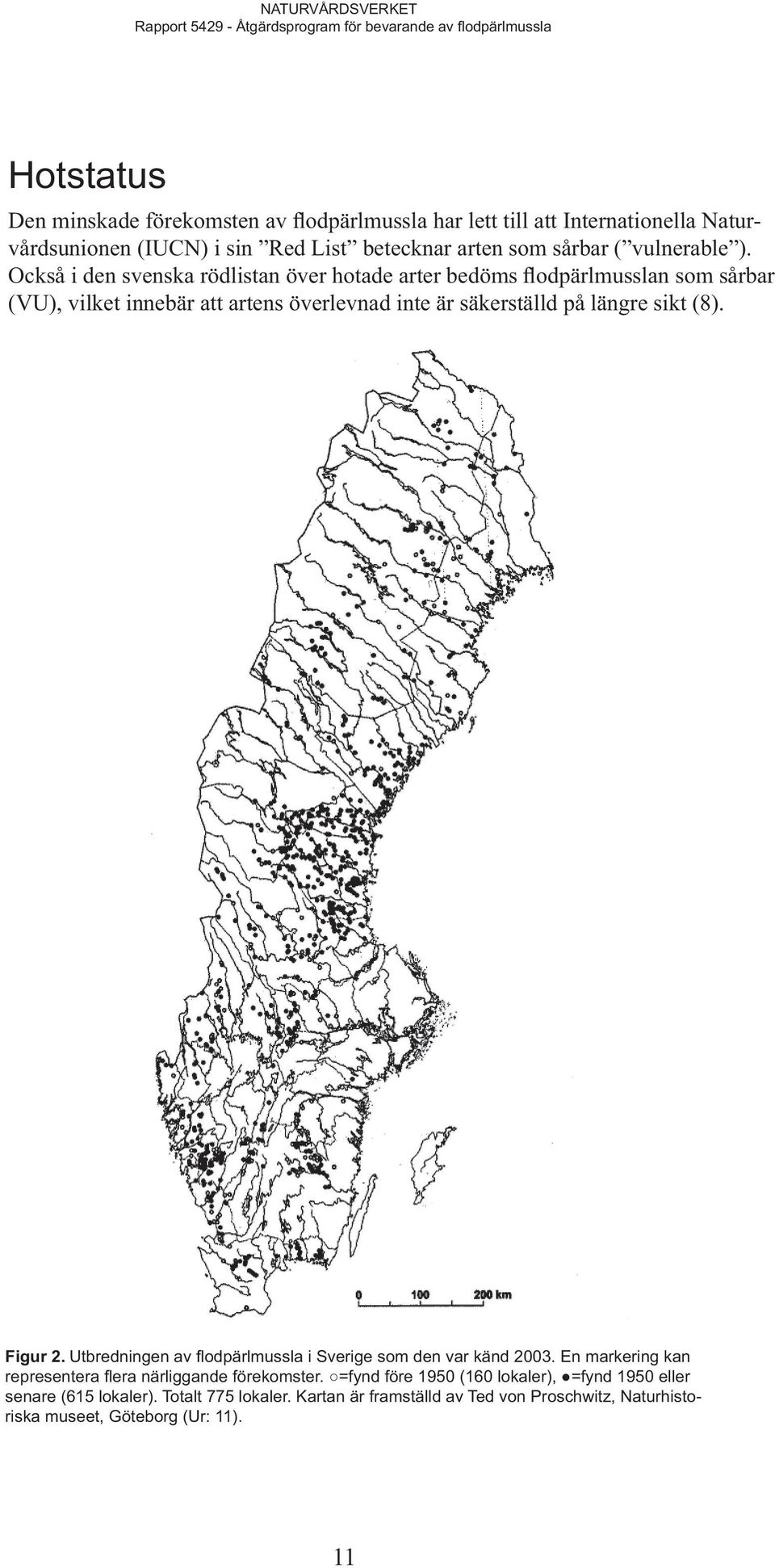 Också i den svenska rödlistan över hotade arter bedöms flodpärlmusslan som sårbar (VU), vilket innebär att artens överlevnad inte är säkerställd på längre sikt (8). Figur 2.