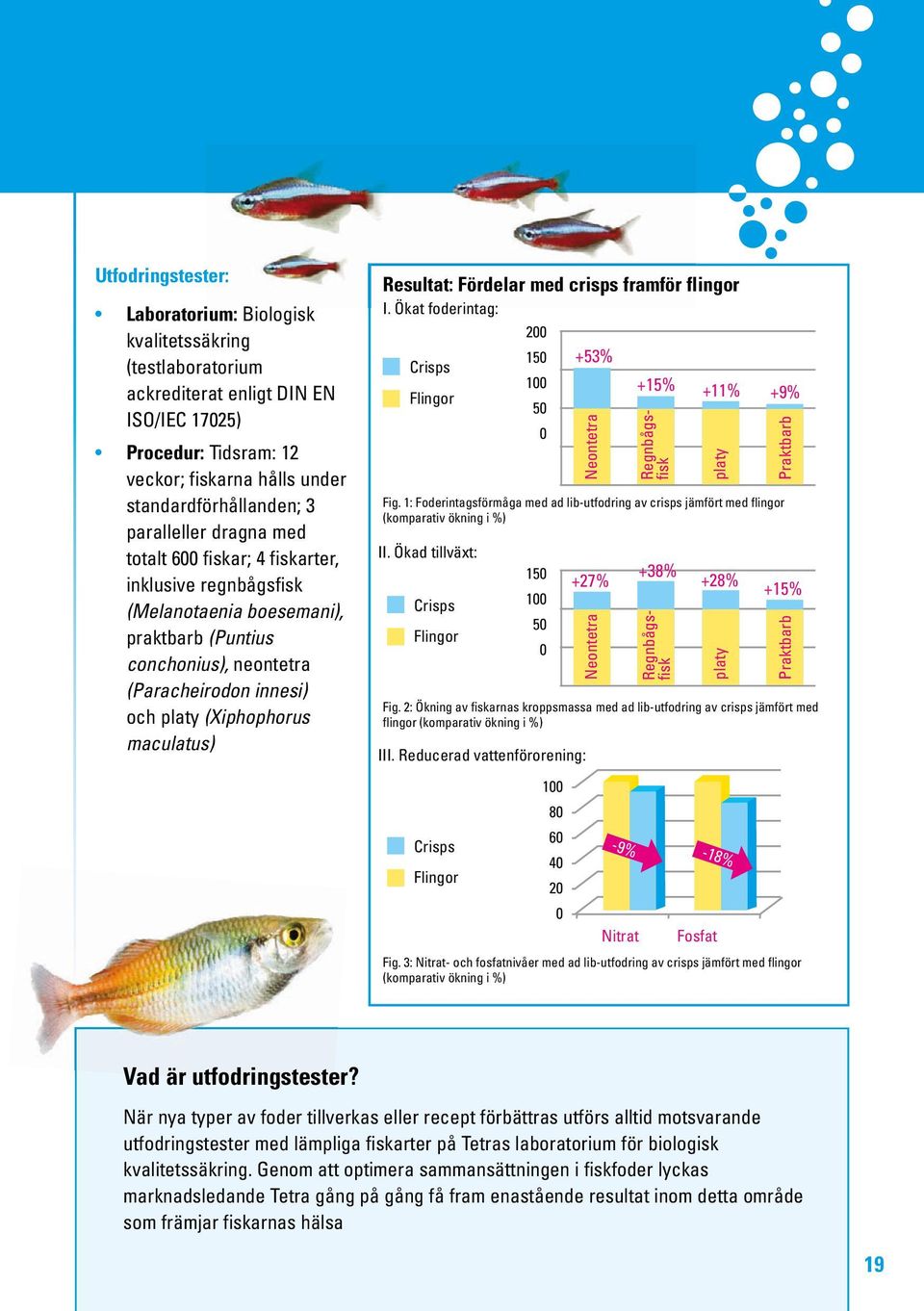 maculatus) Resultat: Fördelar med crisps framför flingor I. Ökat foderintag: 200 Crisps Flingor +53% Neontetra +15% +11% +9% Regnbågsfisk platy Fig.