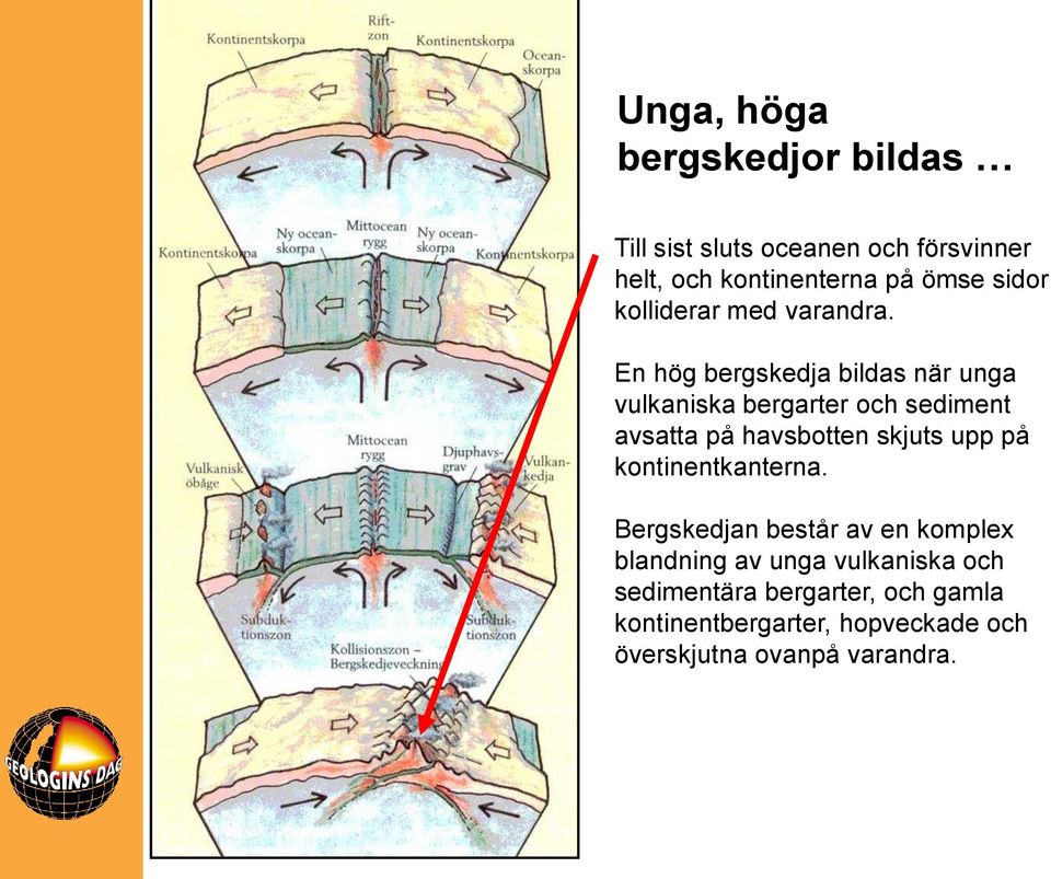 En hög bergskedja bildas när unga vulkaniska bergarter och sediment avsatta på havsbotten skjuts upp på