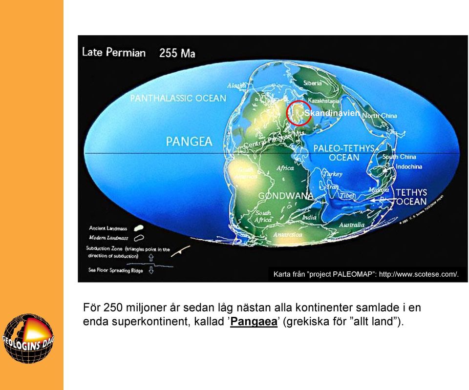 För 250 miljoner år sedan låg nästan alla