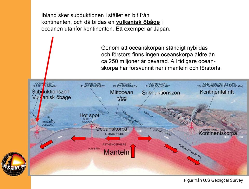 Genom att oceanskorpan ständigt nybildas och förstörs finns ingen oceanskorpa äldre än ca