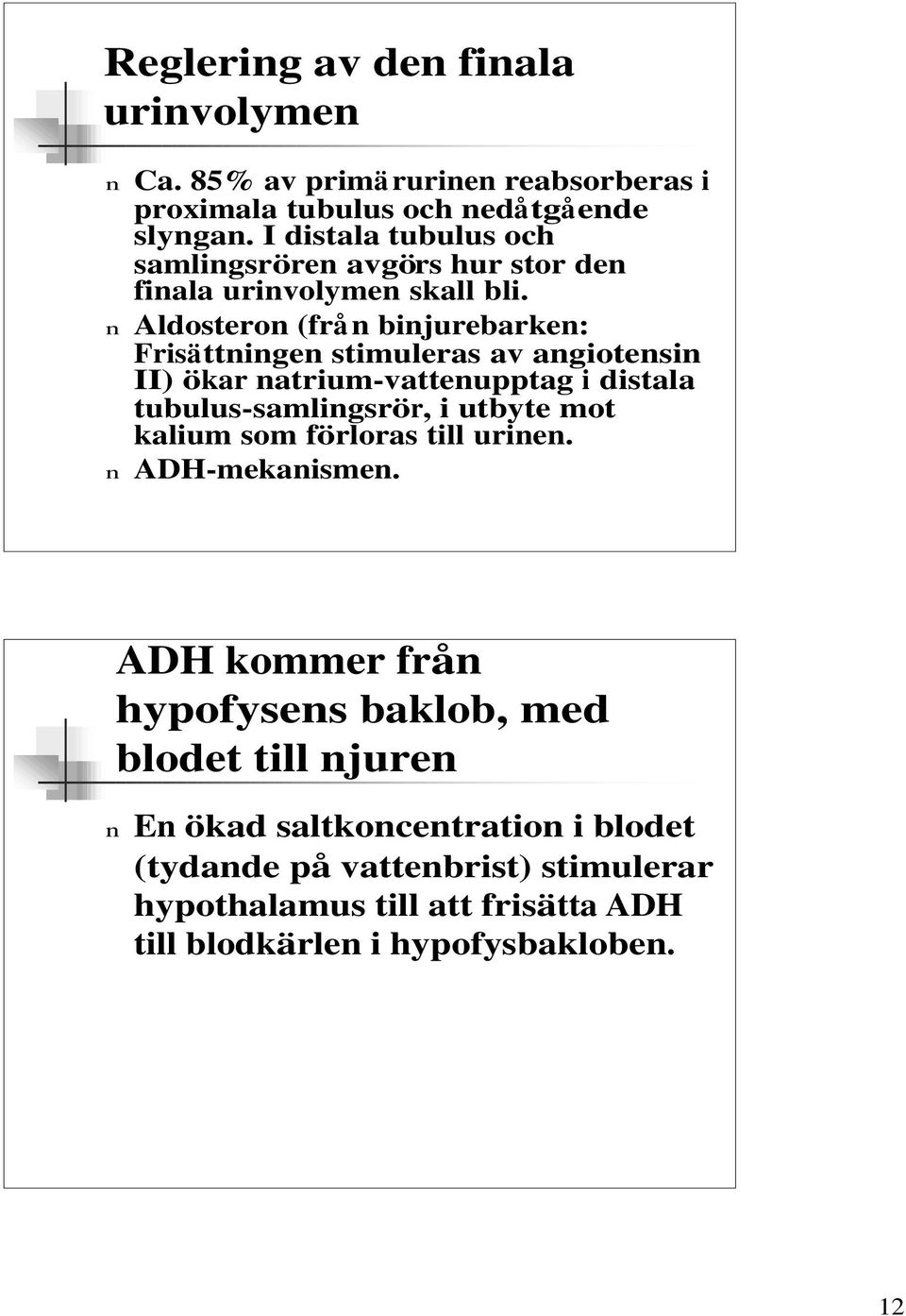 n Aldosteron (frå n binjurebarken: Frisättningen stimuleras av angiotensin II) ökar natrium-vattenupptag i distala tubulus-samlingsrör, i utbyte mot