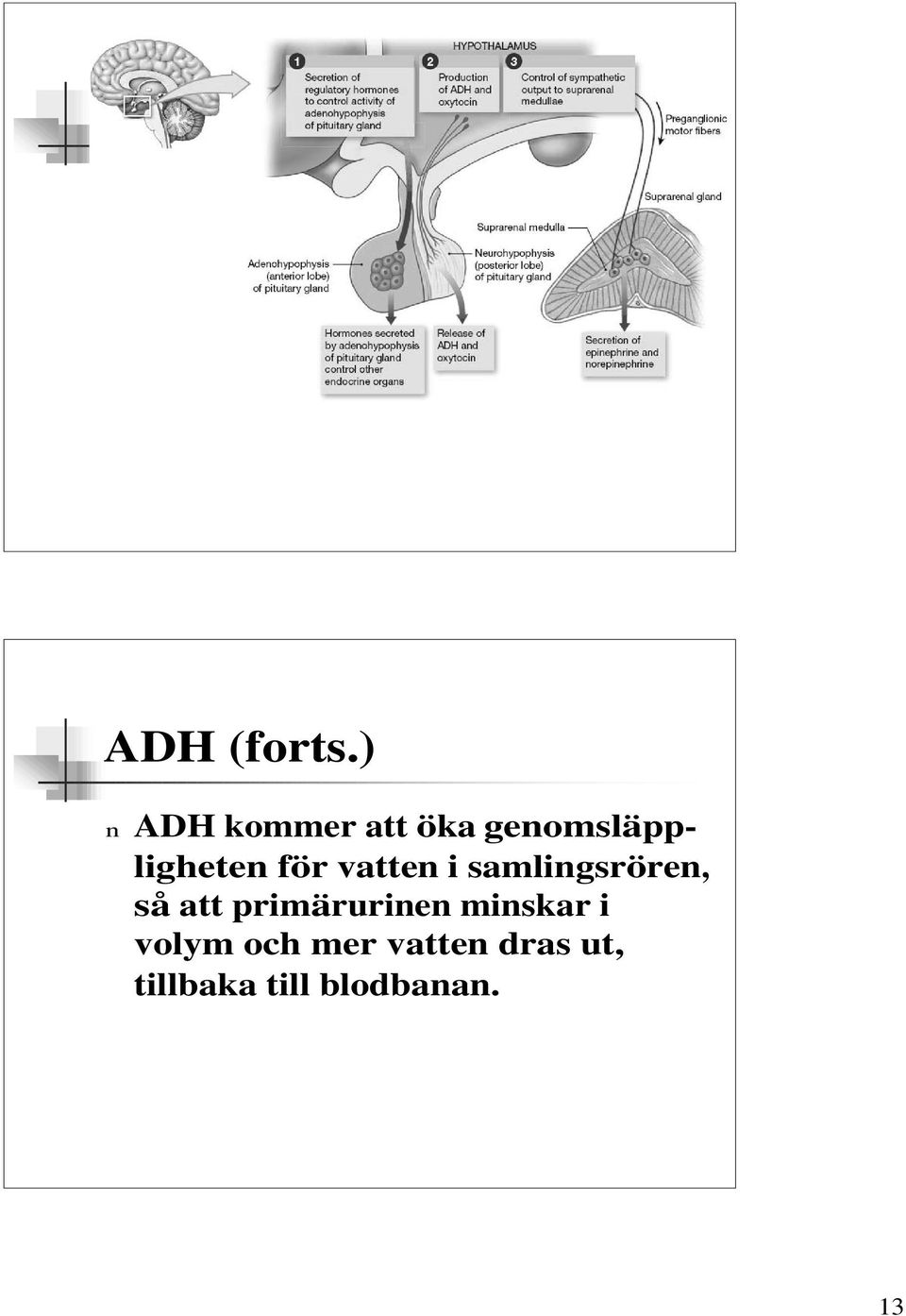 för vatten i samlingsrören, så att