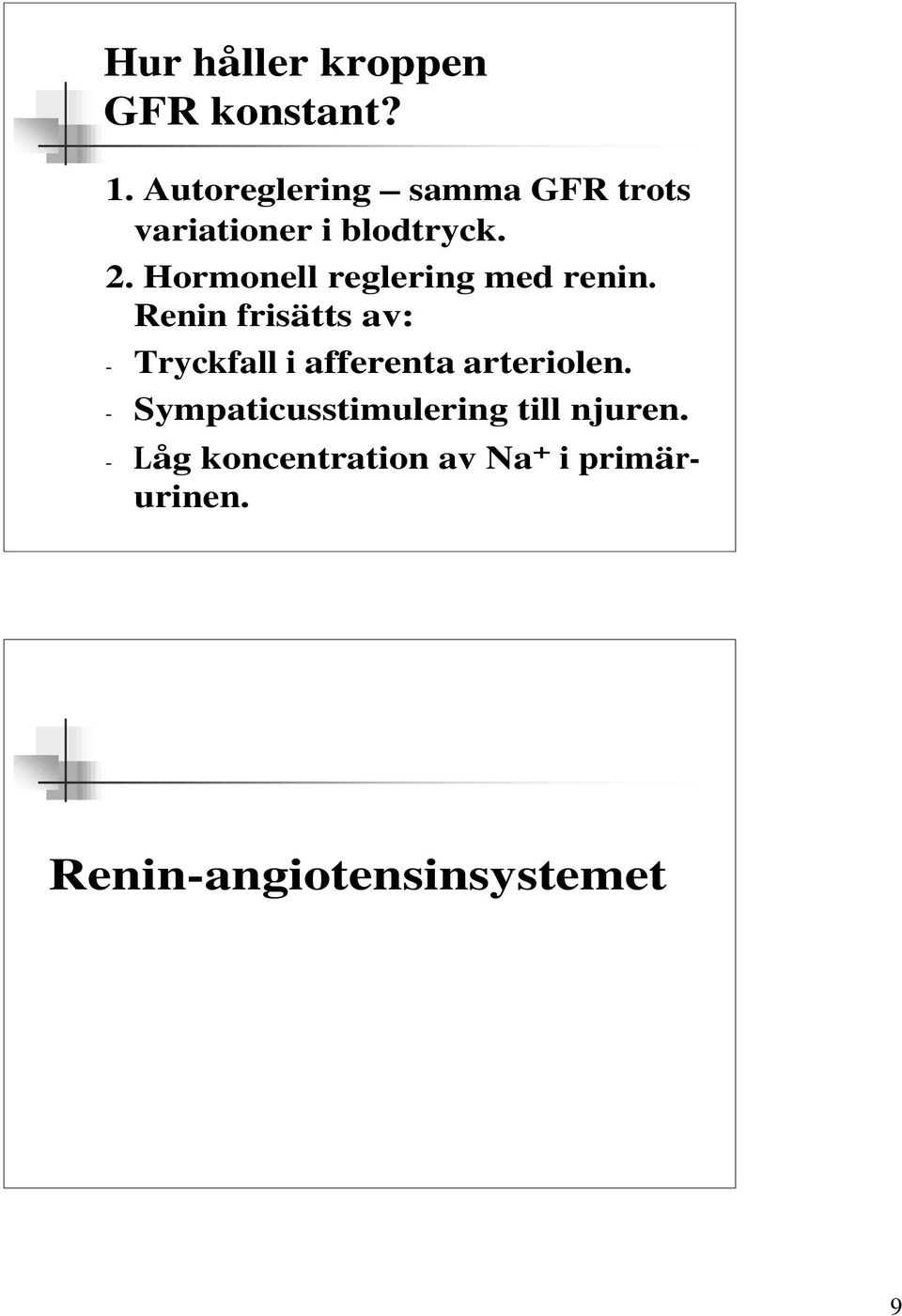 Hormonell reglering med renin.