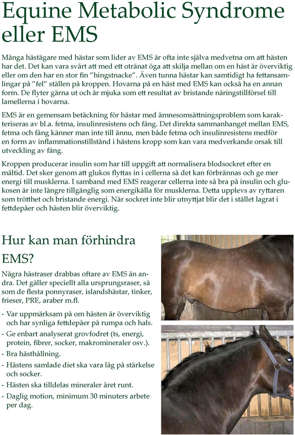 Även tunna hästar kan samtidigt ha fettansamlingar på fel ställen på kroppen. Hovarna på en häst med EMS kan också ha en annan form.