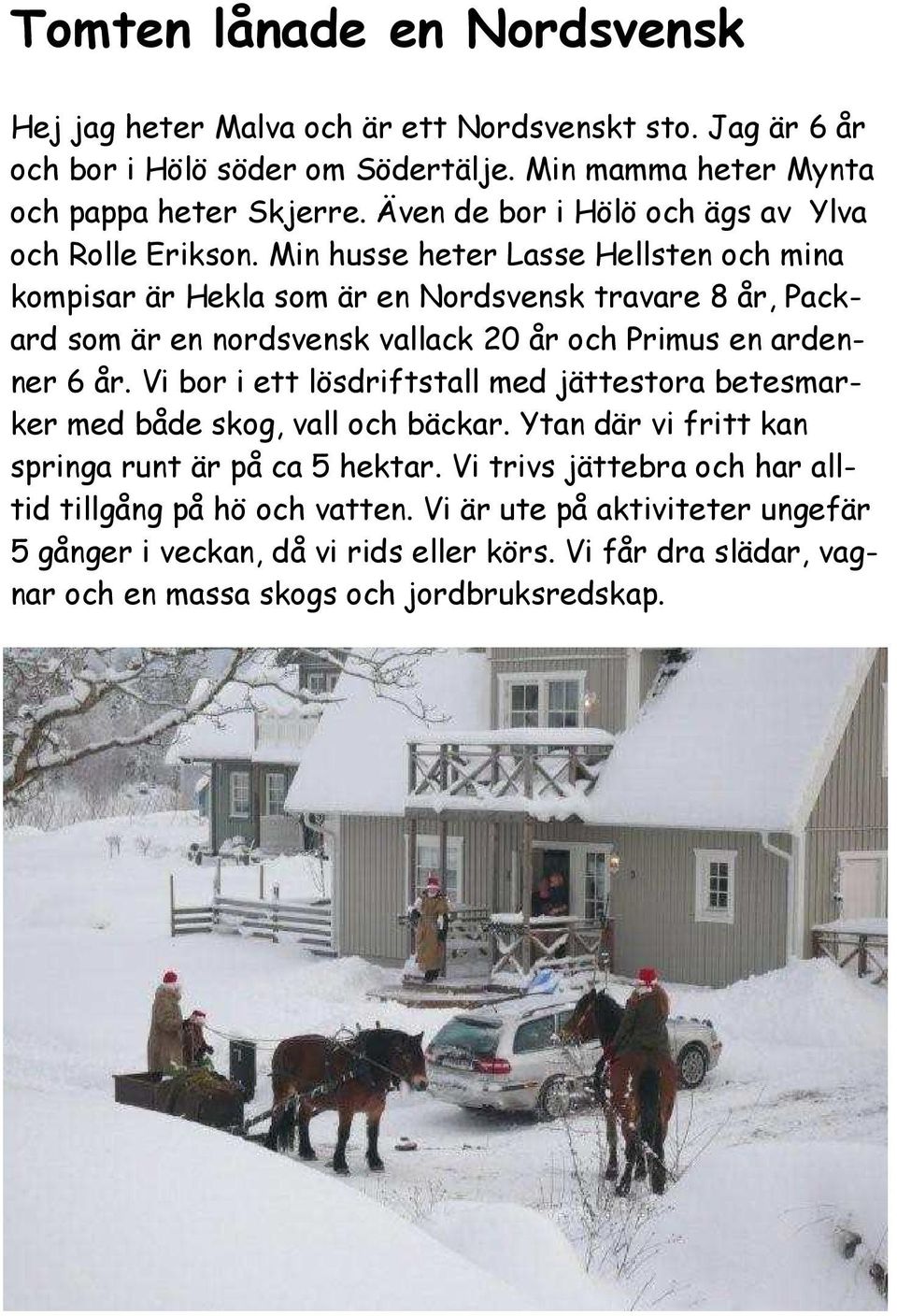 Min husse heter Lasse Hellsten och mina kompisar är Hekla som är en Nordsvensk travare 8 år, Packard som är en nordsvensk vallack 20 år och Primus en ardenner 6 år.