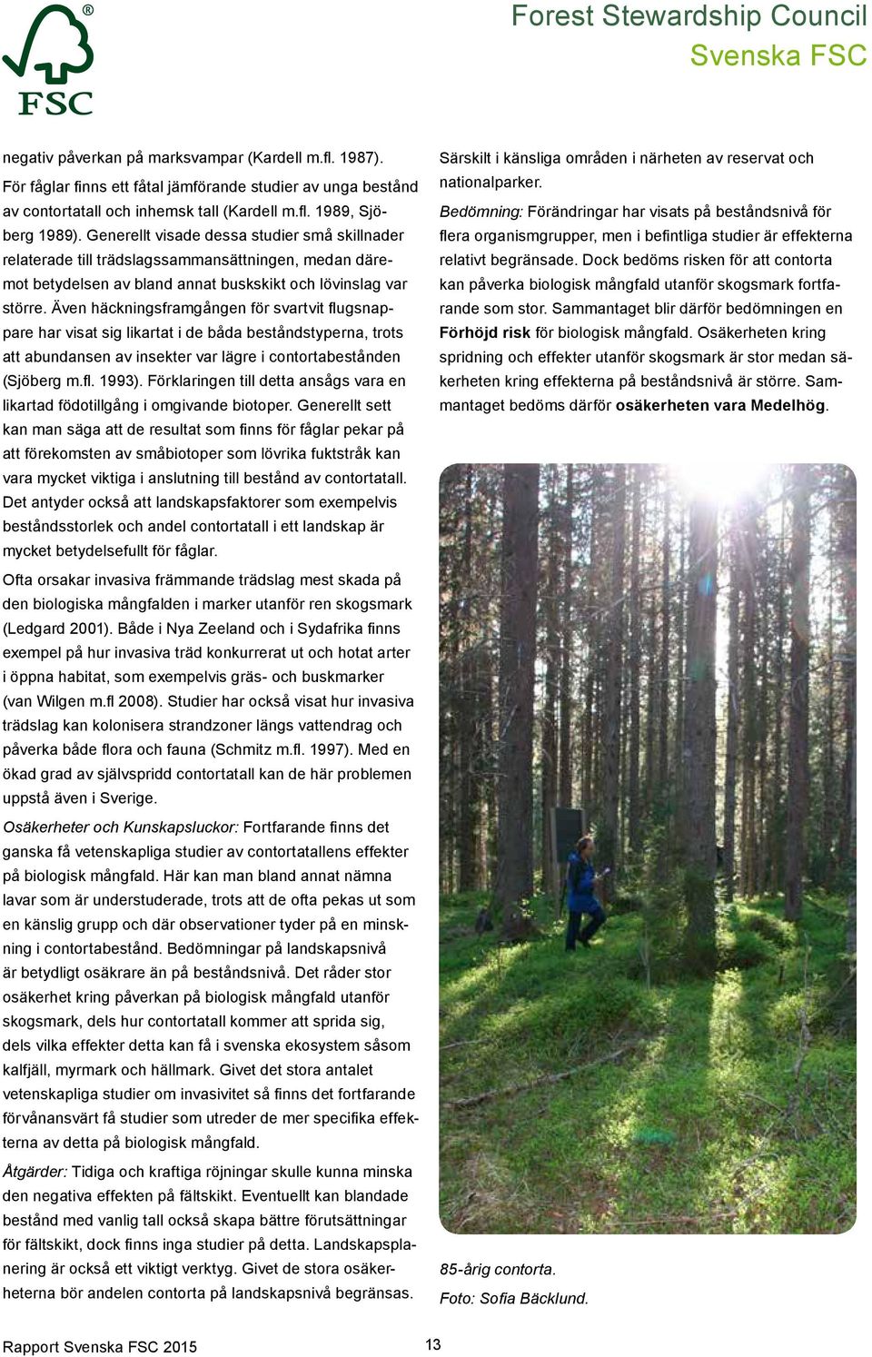 Även häckningsframgången för svartvit flugsnappare har visat sig likartat i de båda beståndstyperna, trots att abundansen av insekter var lägre i contortabestånden (Sjöberg m.fl. 1993).