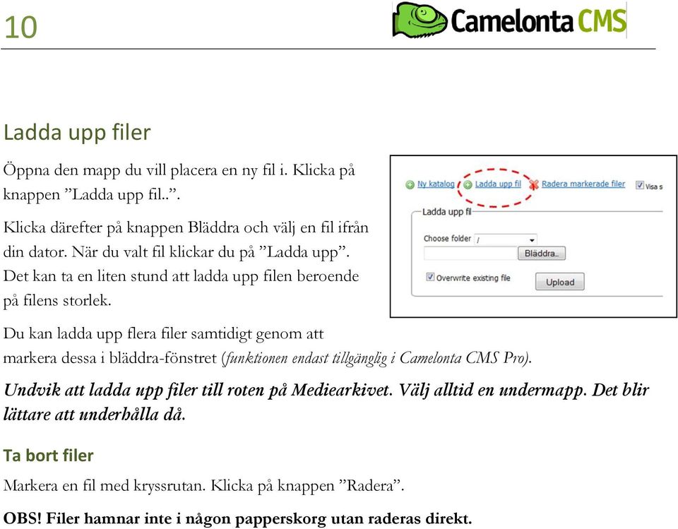 Du kan ladda upp flera filer samtidigt genom att markera dessa i bläddra-fönstret (funktionen endast tillgänglig i Camelonta CMS Pro).