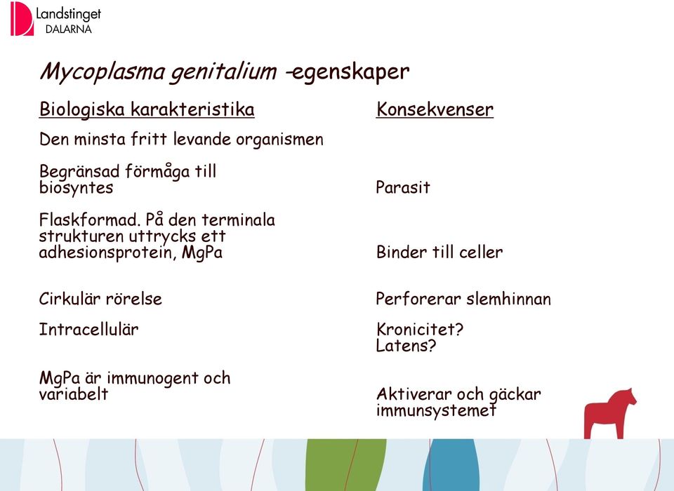 På den terminala strukturen uttrycks ett adhesionsprotein, MgPa Cirkulär rörelse Intracellulär