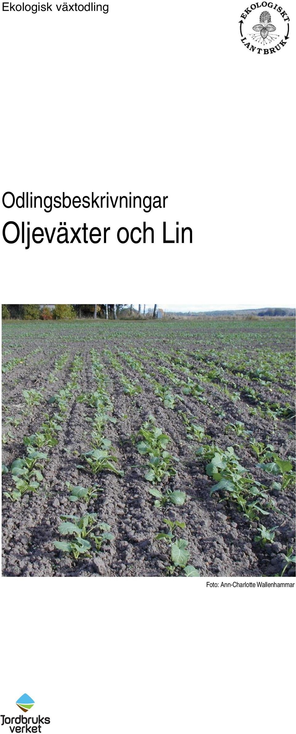 Oljeväxter och Lin