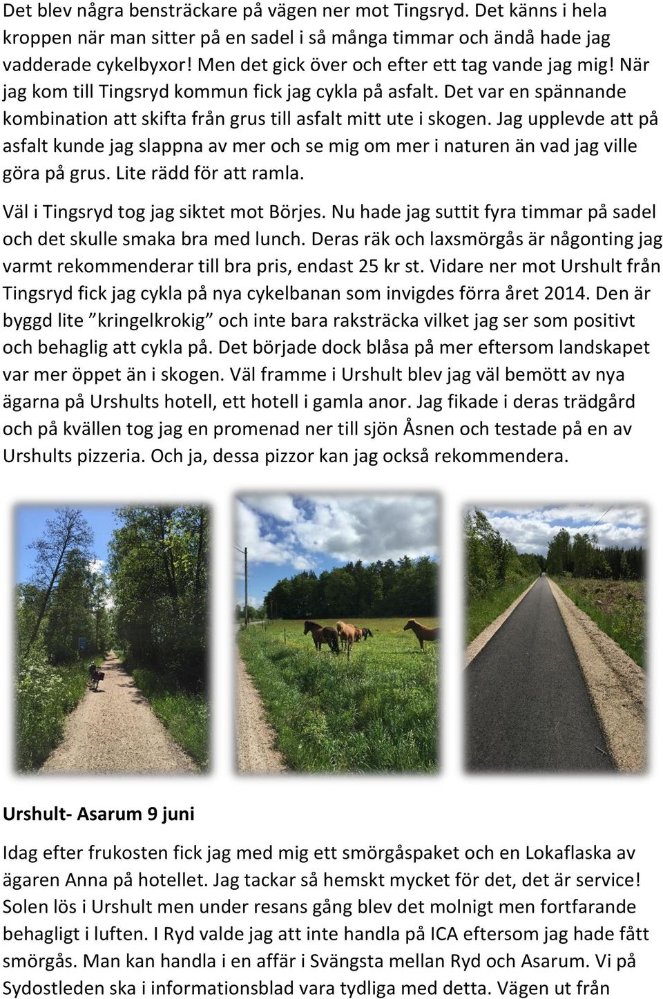 Jag upplevde att på asfalt kunde jag slappna av mer och se mig om mer i naturen än vad jag ville göra på grus. Lite rädd för att ramla. Väl i Tingsryd tog jag siktet mot Börjes.