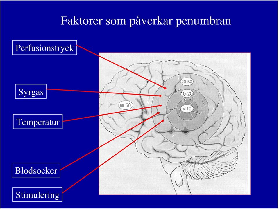 penumbran Syrgas