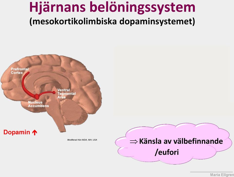 sex fysisk aktivitet beroendeframkallande droger