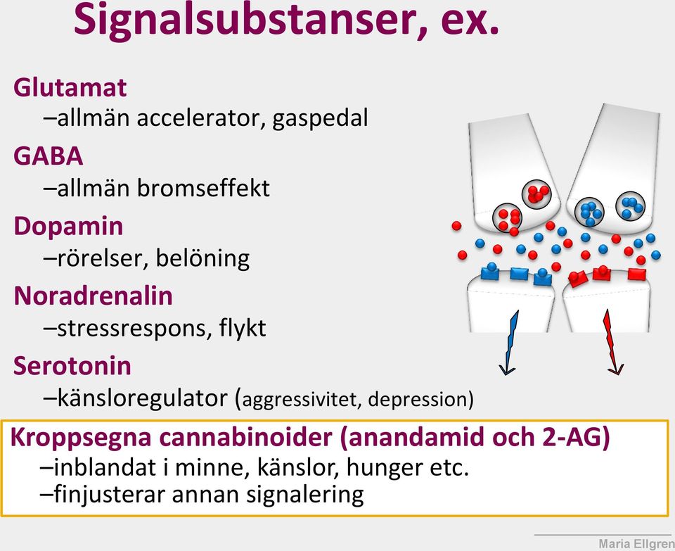 rörelser, belöning Noradrenalin stressrespons, flykt Serotonin känsloregulator