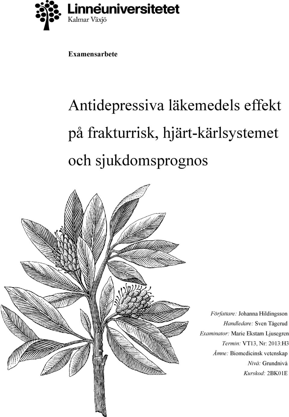 Hildingsson Handledare: Sven Tågerud Examinator: Marie Ekstam