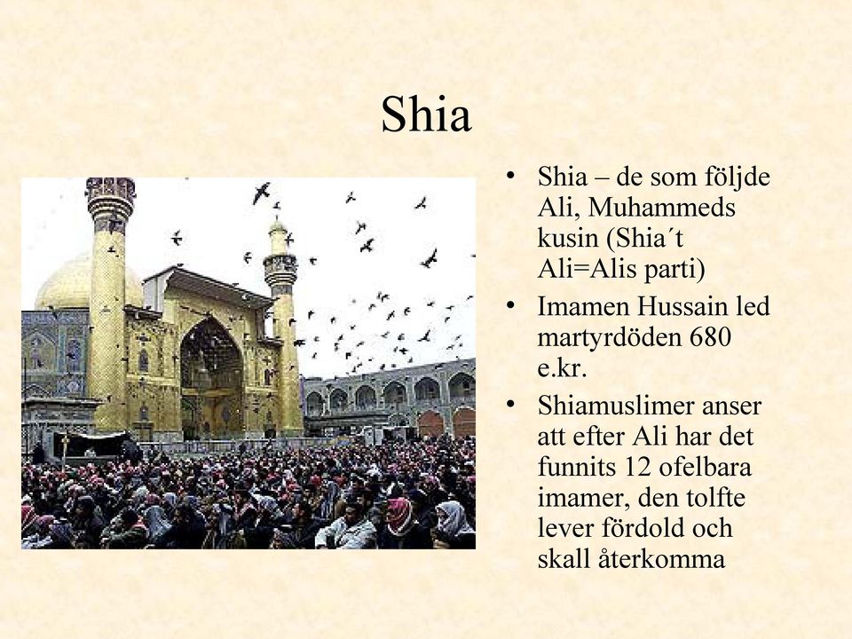 Shiamuslimer anser att efter Ali har det funnits 12