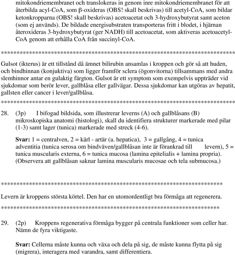 De bildade energisubstraten transporteras fritt i blodet, i hjärnan återoxideras 3-hydroxybutyrat (ger NADH) till acetoacetat, som aktiveras acetoacetyl- CoA genom att erhålla CoA från succinyl-coa.