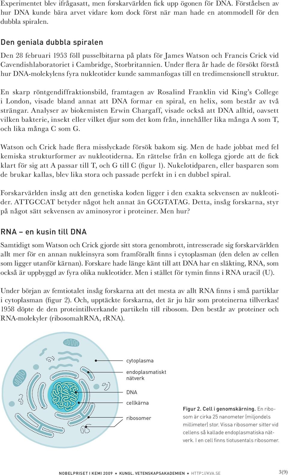 nder flera år hade de försökt förstå hur DN-molekylens fyra nukleotider kunde sammanfogas till en tredimensionell struktur.