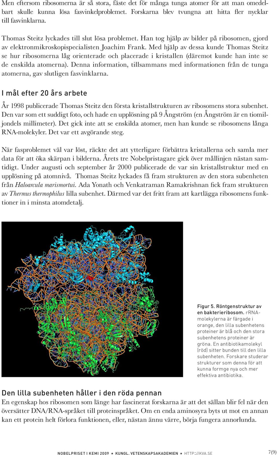 Med hjälp av dessa kunde homas Steitz se hur ribosomerna låg orienterade och placerade i kristallen (däremot kunde han inte se de enskilda atomerna).