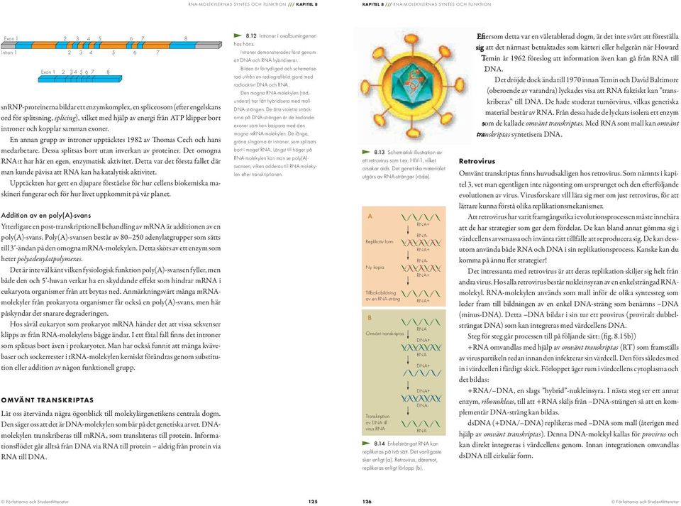 Dessa splitsas bort utan inverkan av proteiner. Det omogna RN:t har här en egen, enzymatisk aktivitet. Detta var det första fallet där man kunde påvisa att RN kan ha katalytisk aktivitet.