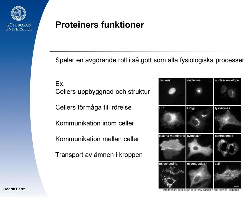 Cellers uppbyggnad och struktur Cellers förmåga till rörelse