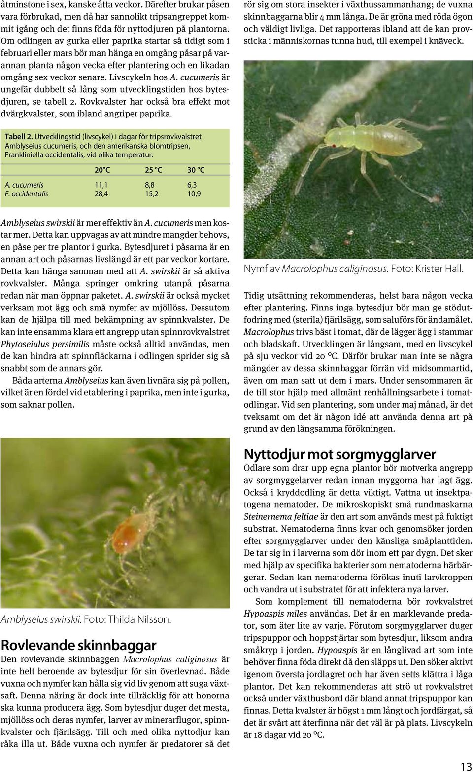 Livscykeln hos A. cucumeris är ungefär dubbelt så lång som utvecklingstiden hos bytesdjuren, se tabell 2. Rovkvalster har också bra effekt mot dvärgkvalster, som ibland angriper paprika.